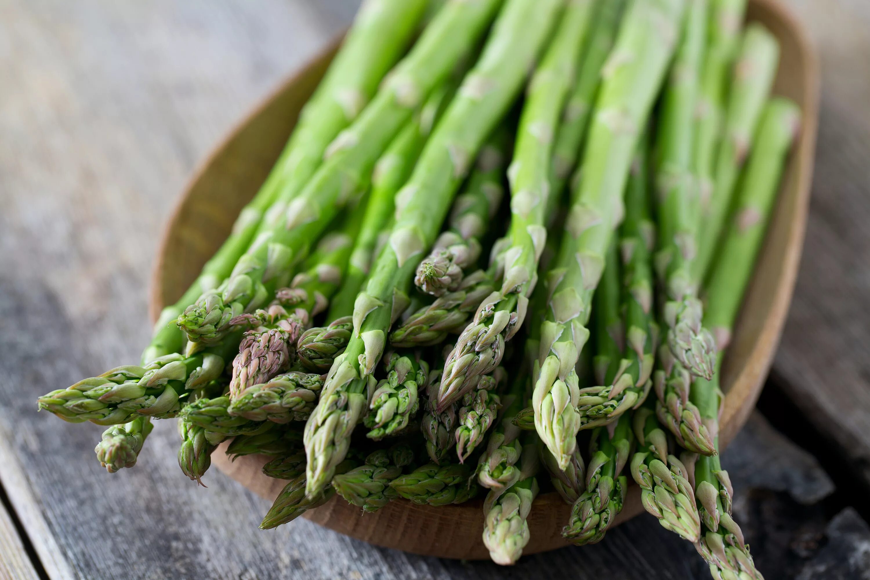 Аспарагус спаржа. Спаржа коротколистная. Спаржа Asparagus officinalis Avalim. Аспарагус (спаржа) Бэклим.