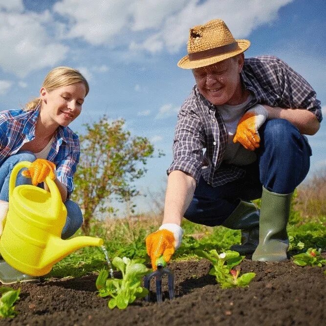 Инструменты для сада и огорода. Энциклопедия ленивого огородника кизима. Дачник. Сайты садоводов и огородников. Сад и огород.