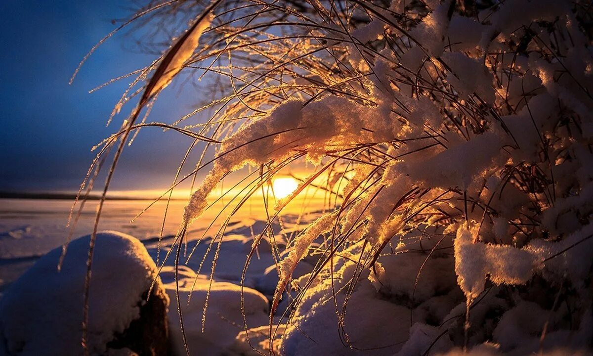 Солнце заходит зимой. Зимний закат. Рассвет зимой. Красивый зимний закат. Морозный закат.
