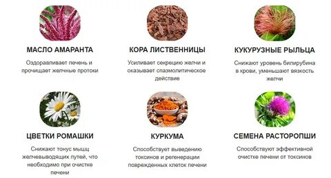 Фрукты восстанавливают печень