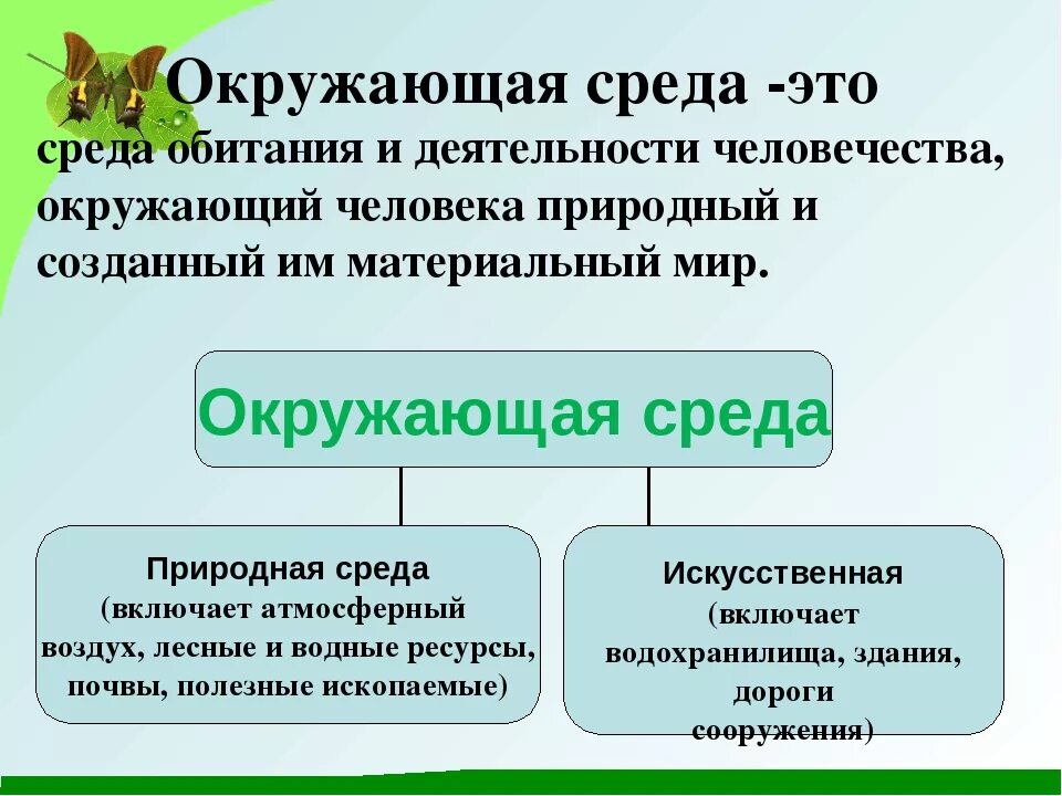 Окружающая среда. Окружающая среда определение. Окружающая природная среда. Окружающая среда определение в экологии.