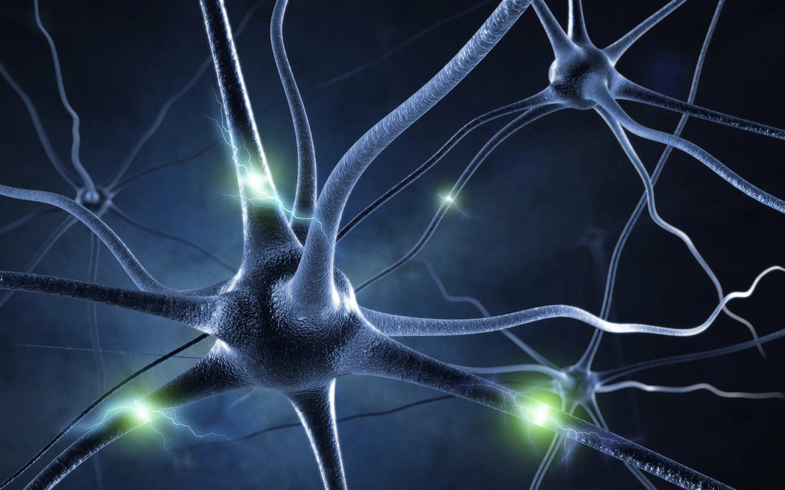 Neural system