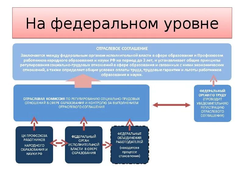 Структура органов социального партнерства. Региональный уровень. Социальное партнерство в сфере труда. Региональный уровень управления образованием. Федеральный уровень управления образованием