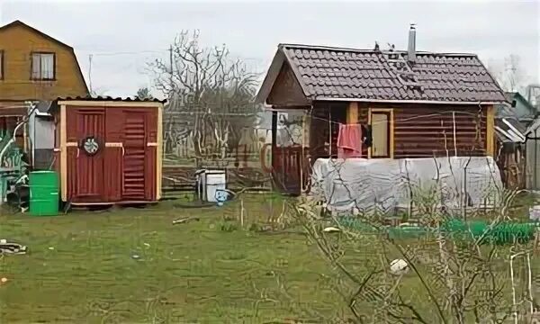 Авито старая новгородская область. Родник на Порусье Старая Русса. Родник на Порусье Старорусский район. Дачи Родник на Порусье. Картинки СНТ Русса.