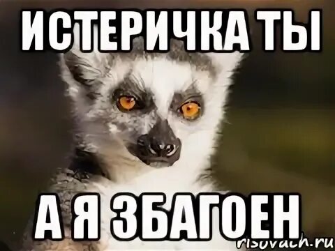 Да я истеричка