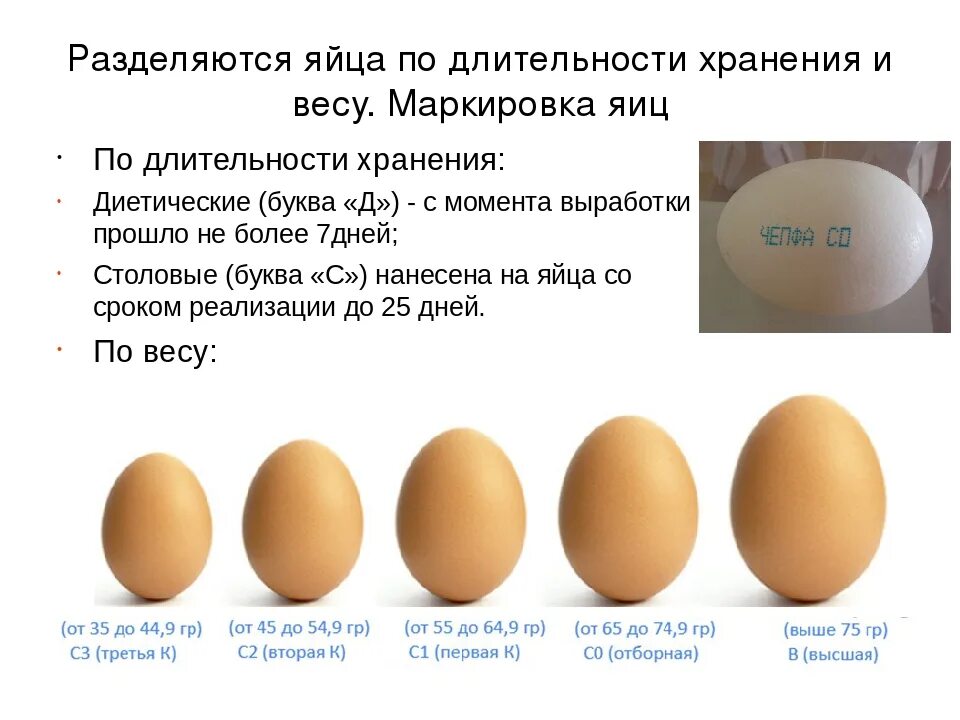 Температура после яиц. Срок годности яиц с1. Срок годности яиц с0. Яйцо с2 срок годности. Срок хранения куриных яиц.