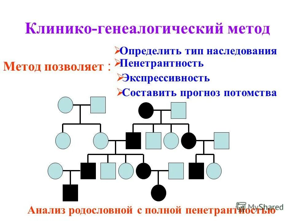 генеалогический метод генетики человека позволяет установить