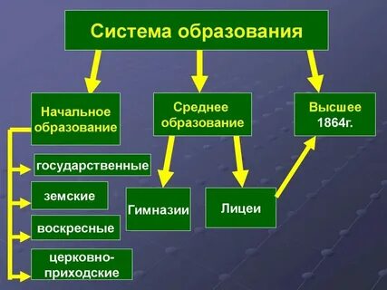 11 классов образования это