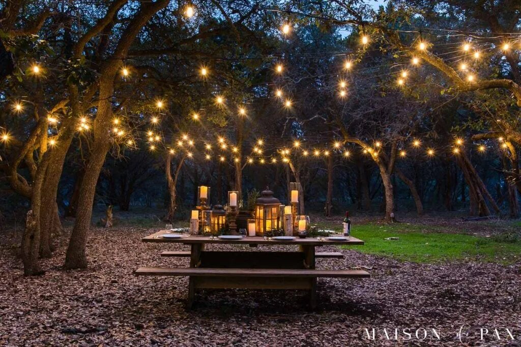 Огород ночью. Fairy Lights Outdoor. Garden Night. String Lights Outdoor. Пикник свет