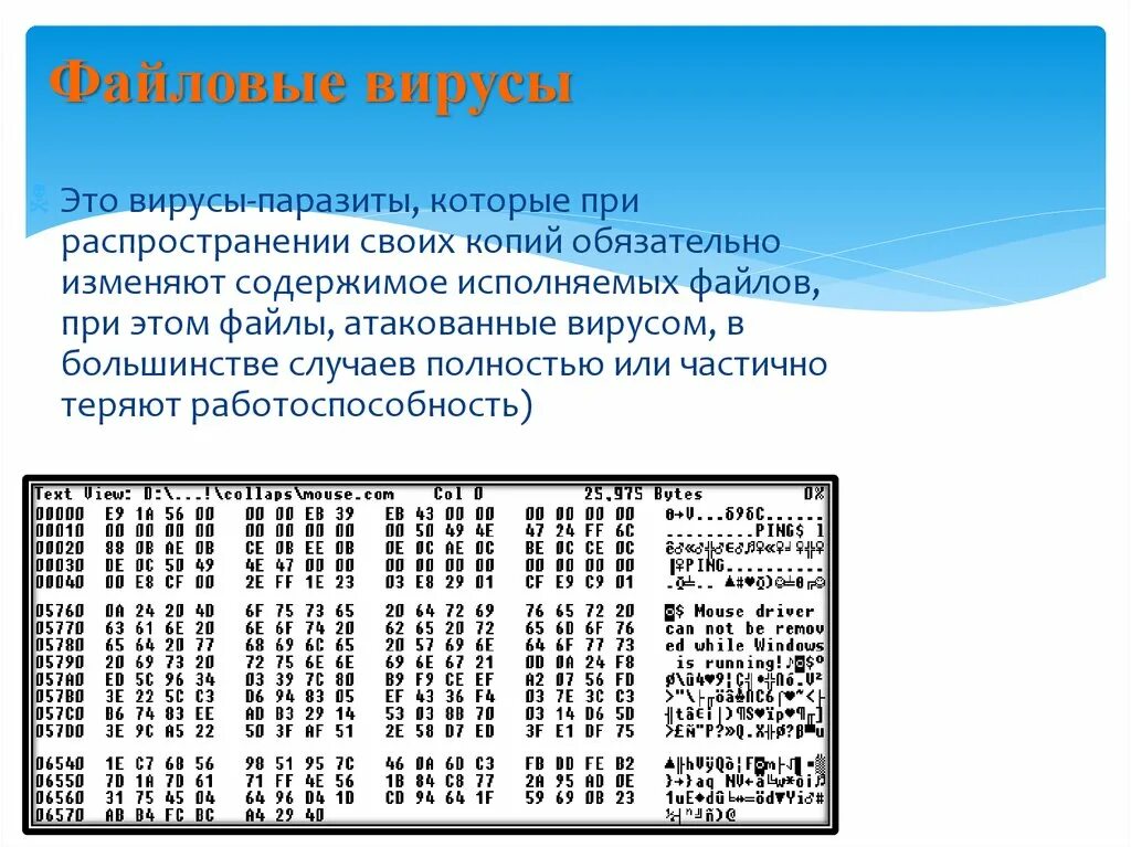 Файловый вирус всегда меняет длину файла. Файловые вирусы. файловые вирусы это вирусы паразиты. файловый вирус тест.
