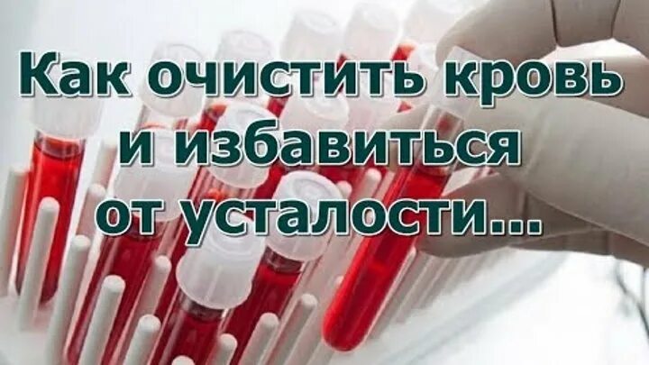 Почему чистят кровь. Очистить кровь в организме.