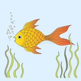 Золотые рыбки водоросли