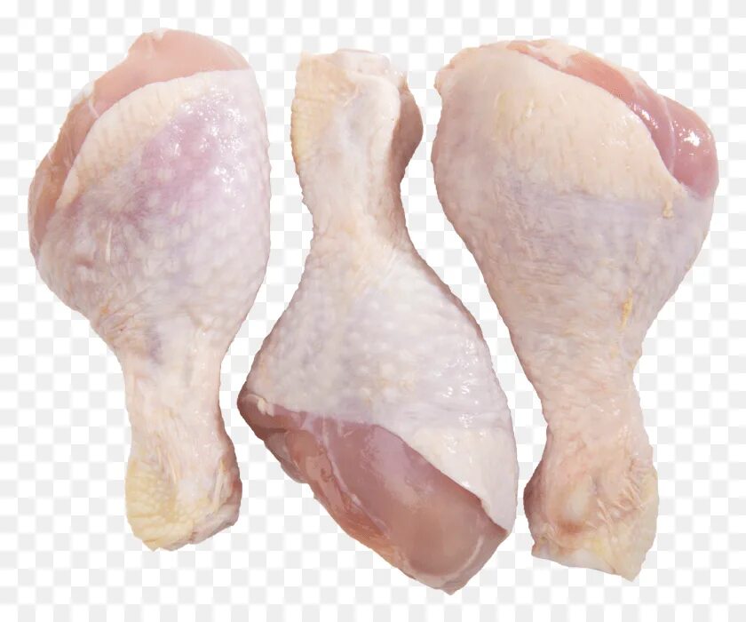 1 куриная. Голень куриная. Голень курицы. Курица мясо голень. Голень куриная на белом фоне.