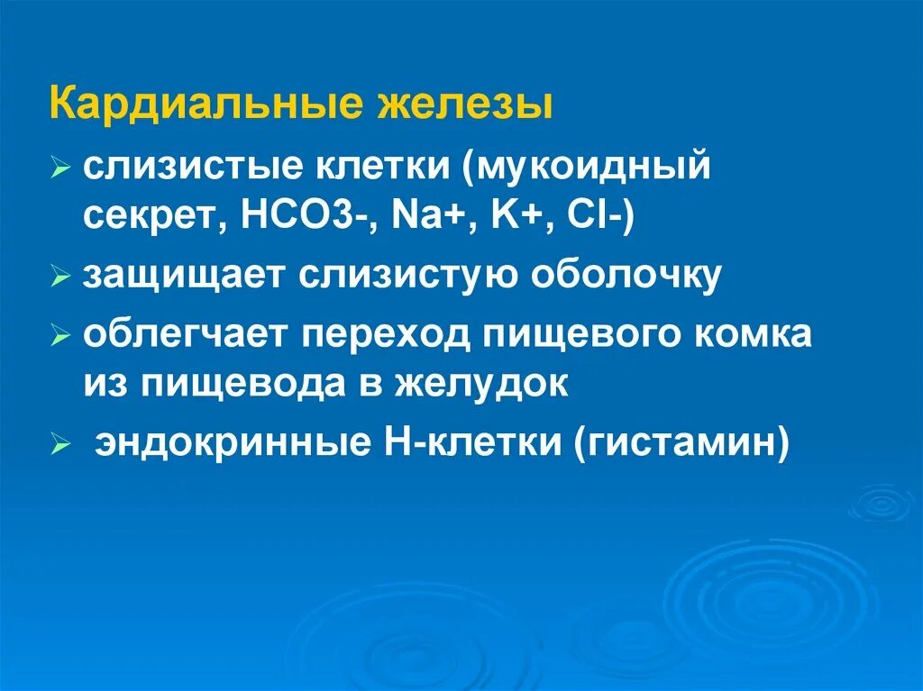 Слизистые клетки секрет. Мукоидные клетки. Мукоидный секрет. Мукоидный секрет в желудке функции. Мукоидный секрет вырабатывают клетки.