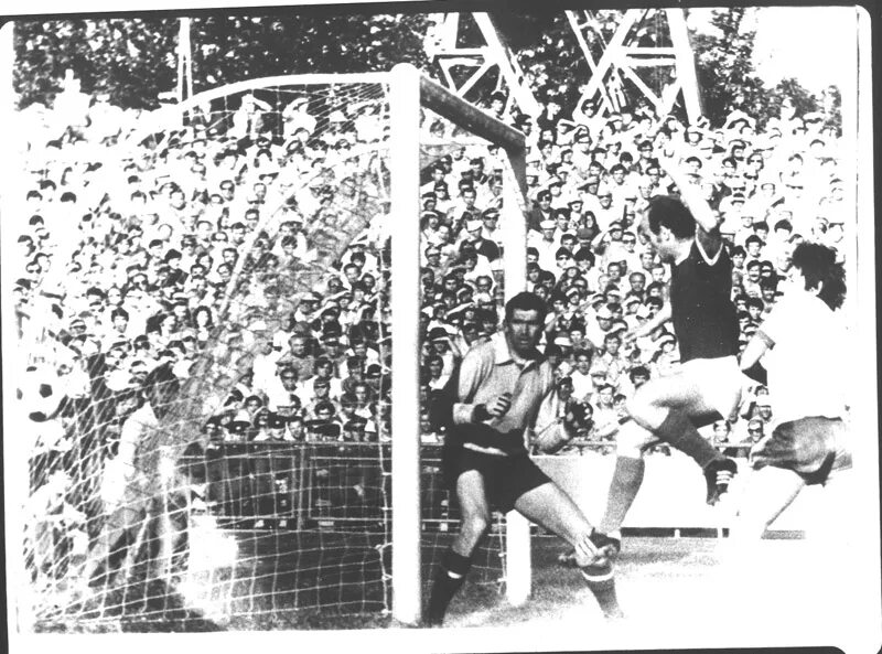 Динамо тбилиси 1978. Черноморец одесса. Шенгелия футболист динамо тбилиси. Черноморец динамо тбилиси. Фк черноморец эмблема.