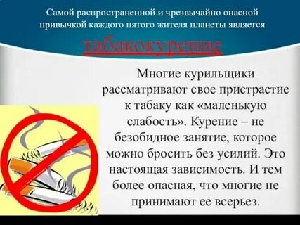 Текст песни вредные привычки