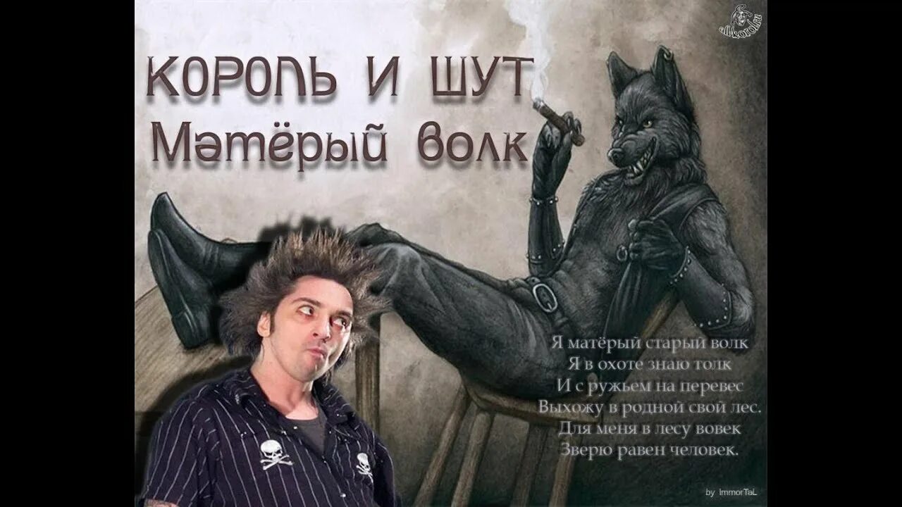 Киш волки. Киш волки. Киш волки. Группа король и шут 2013. Песня матерый старый волк.