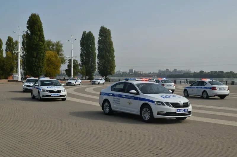 Гаи воронеж телефон. Skoda Octavia ДПС Воронеж. Skoda Octavia a7 ГИБДД Брянск. Skoda Octavia a7 ДПС.