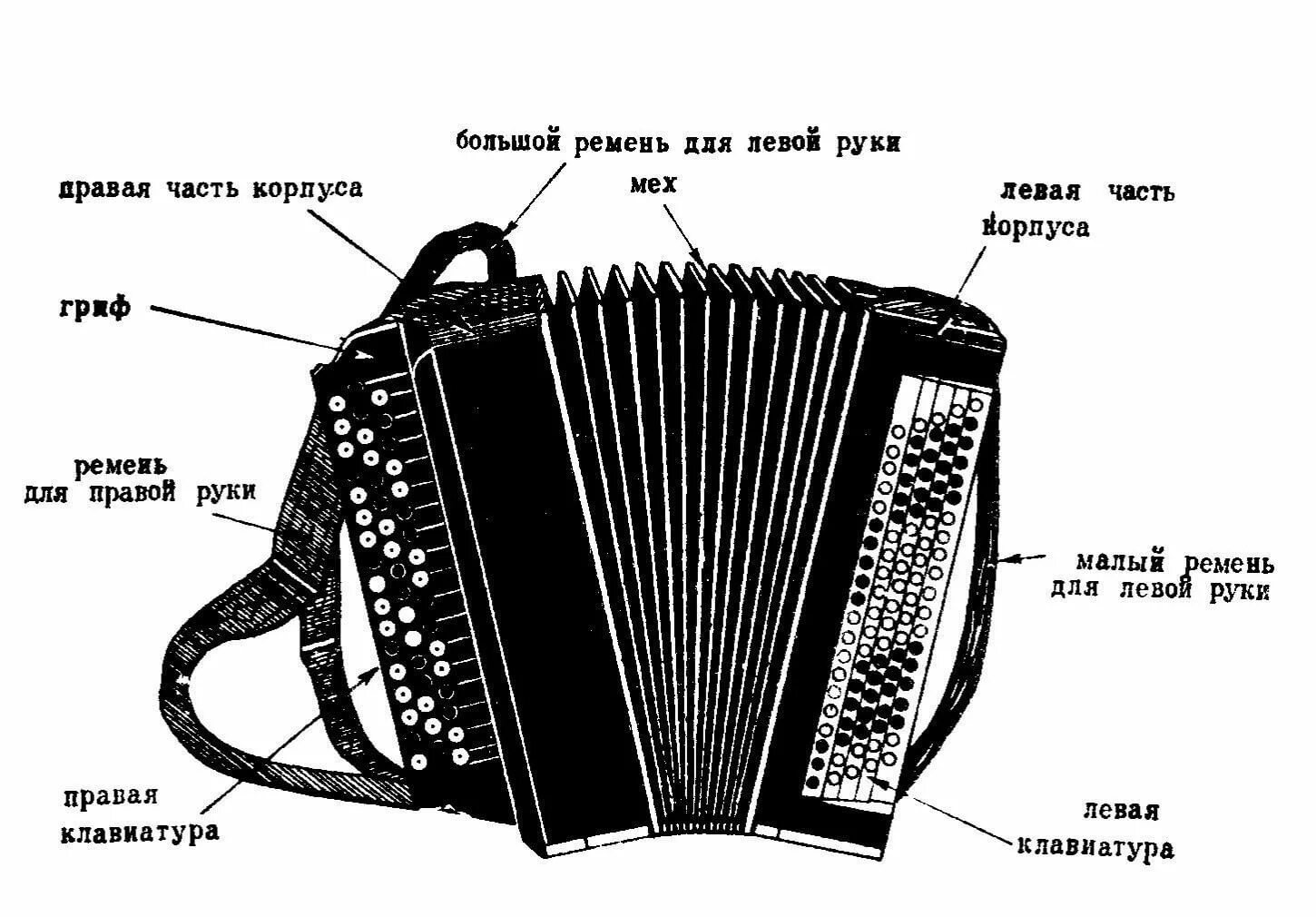 Историческое звучание. Устройство гармони схема. Устройство баяна схема. Устройство аккордеона схема. Баян строение инструмента.