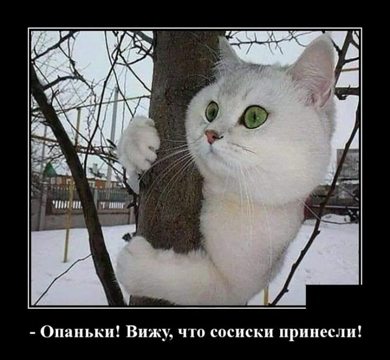 Вижу весну. Приколы про весну. приколы про зиму и весну. весна ты где. весна пришла прикольные.