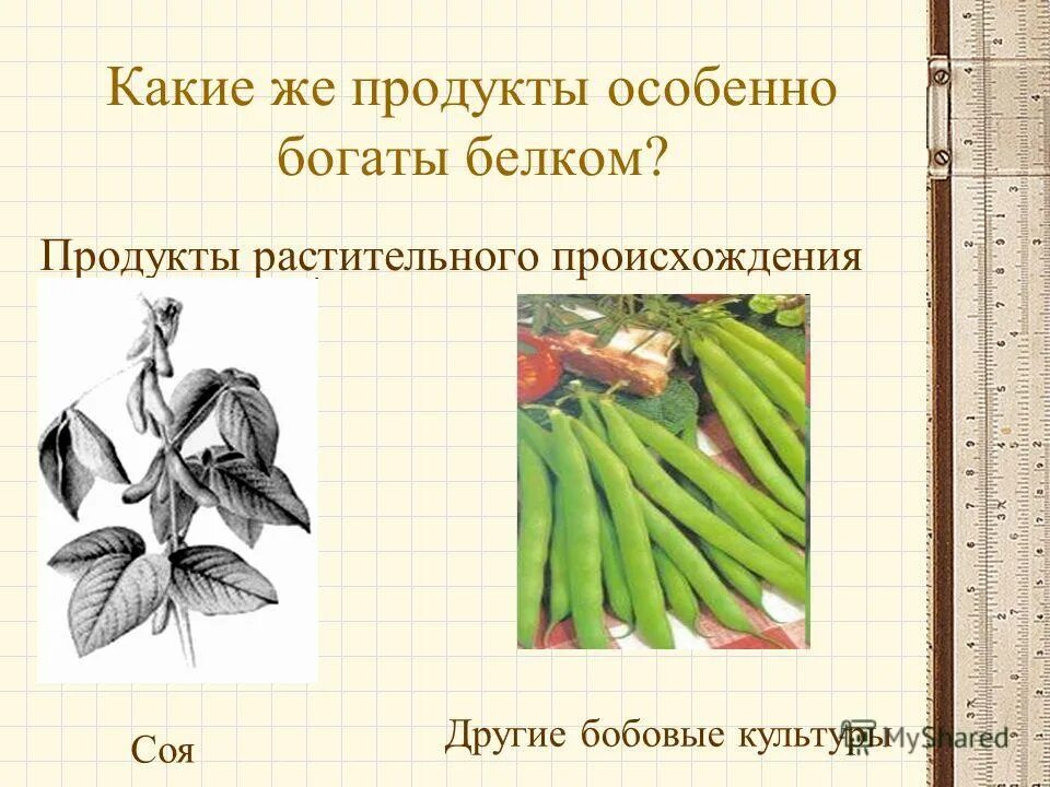 3 продукта растительного происхождения