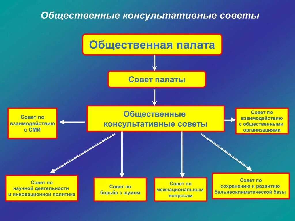 Публичная деятельность в рф. Структура общественной палаты Российской Федерации. Функции общественной палаты РФ схема. Функции общественной палаты в схеме. Общественная палата схема.