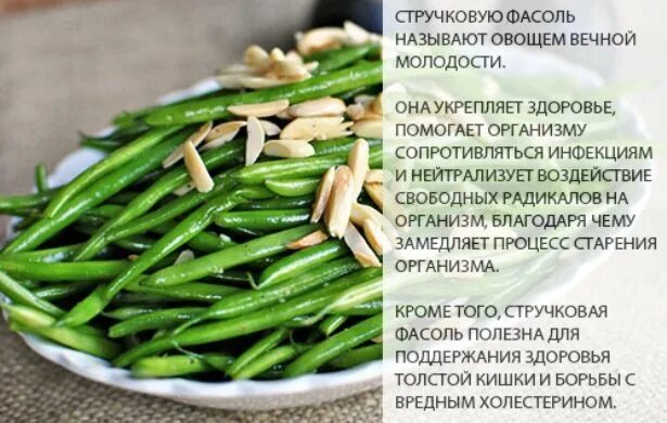 Стручковая фасоль состав. Vitamin стручковая фасоль. Стручковая фасоль польза. Витамины в стручковой фасоли. Фасоль полезная зеленая стручковая.