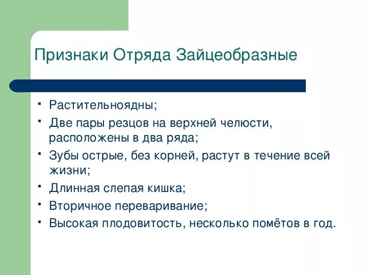 Млекопитающие отряд зайцеобразные. Млекопитающие отряд зайцеобразные