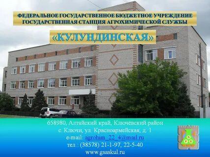 Фгбу курская