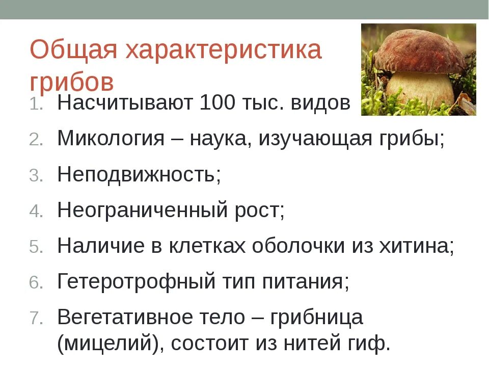 Определите признаки грибов. Основные характеристики грибов. Общая характеристика грибов 7 класс биология. Общая характеристика грибов 6 кл. Характеристика грибов 5 класс.