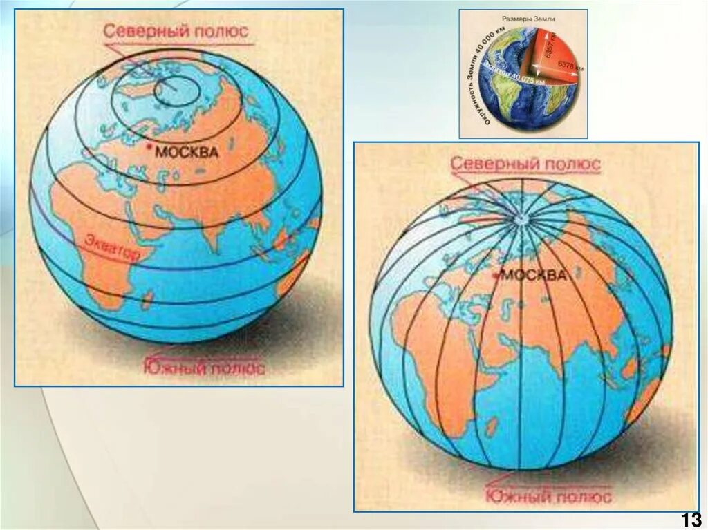 Форма на глобусе меридианы и параллели. Форма параллели на глобусе и на карте. Градусная сеть 5 класс.