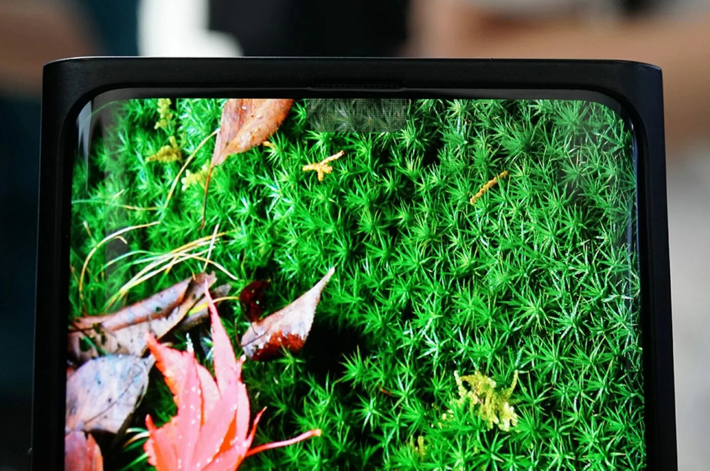 Камера с экраном. Подэкранная камера samsung. смартфоны с подэкранной фронтальной камерой. oppo камера под экраном. подэкранная селфи камера.