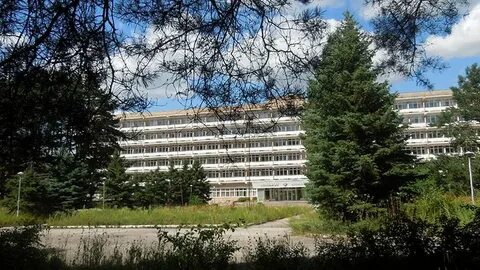 Санаторий сосновый бор рязань