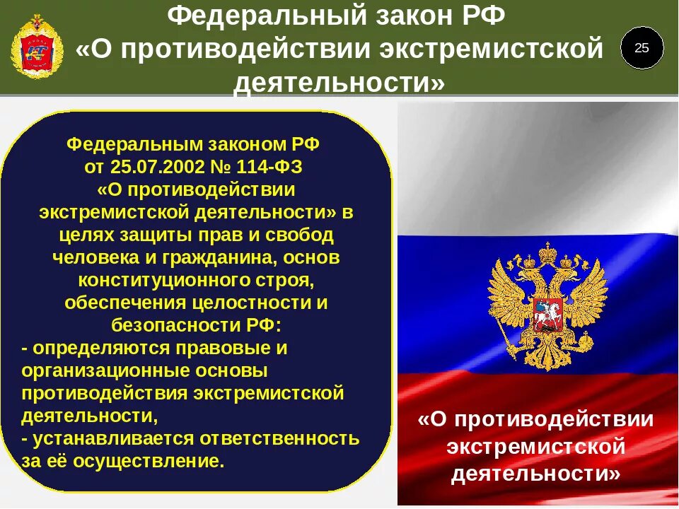 114 фз экстремизм. Нормативно правовая база борьбы с терроризмом и экстремизмом в РФ. ФЗ О противодействии экстремистской деятельности. Противодействие экстремистской деятельности. Федеральный закон.