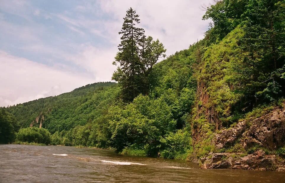 Река сучан приморский край партизанский район. Река партизанская сучан. Река партизанская приморский край. Национальные парки удэгейская легенда. Красноярский край речка чу.
