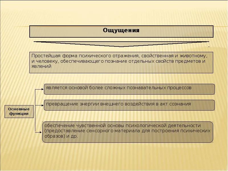 Память форма психического. Простейшая форма психического отражения.. Простейшие формы отражения психики. Ощущение обеспечивает отражение в психике ________________ свойств предмета.. Формы психического отражения животных и человека.