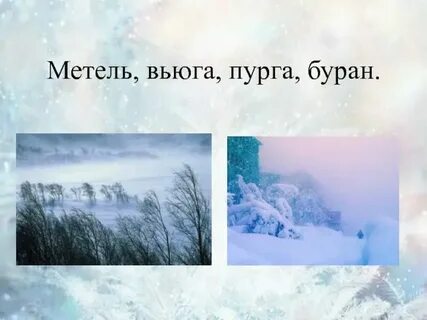 Пятый день несло непроглядной вьюгой