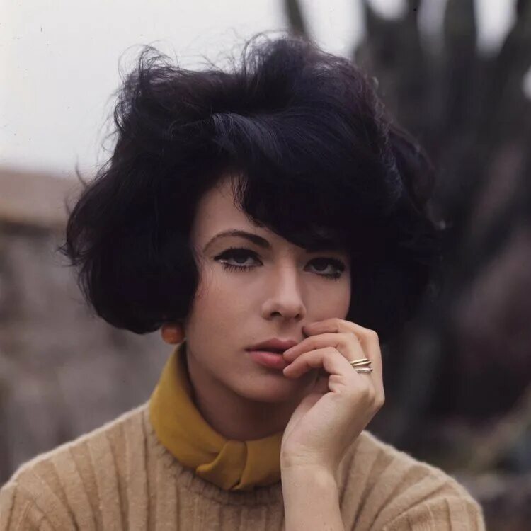 марилу толо и валентино. марила толо. актриса марилу толо. марила толо. марилу толо.