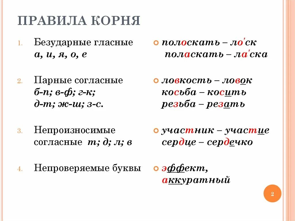 Корни правила. Корень правило. Правила в корне. Правила в корне правила.