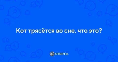 Почему кот дрожит