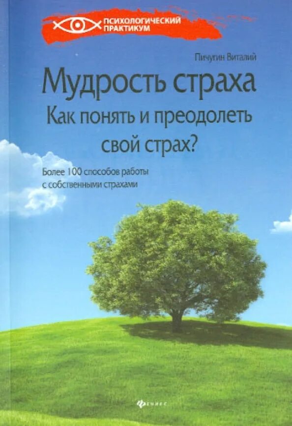 Книга преодоления страха. Книга преодоления страха. Книга как побороть страх. Литература для родителей детские страхи детей. Программа тренинга детские страхи.