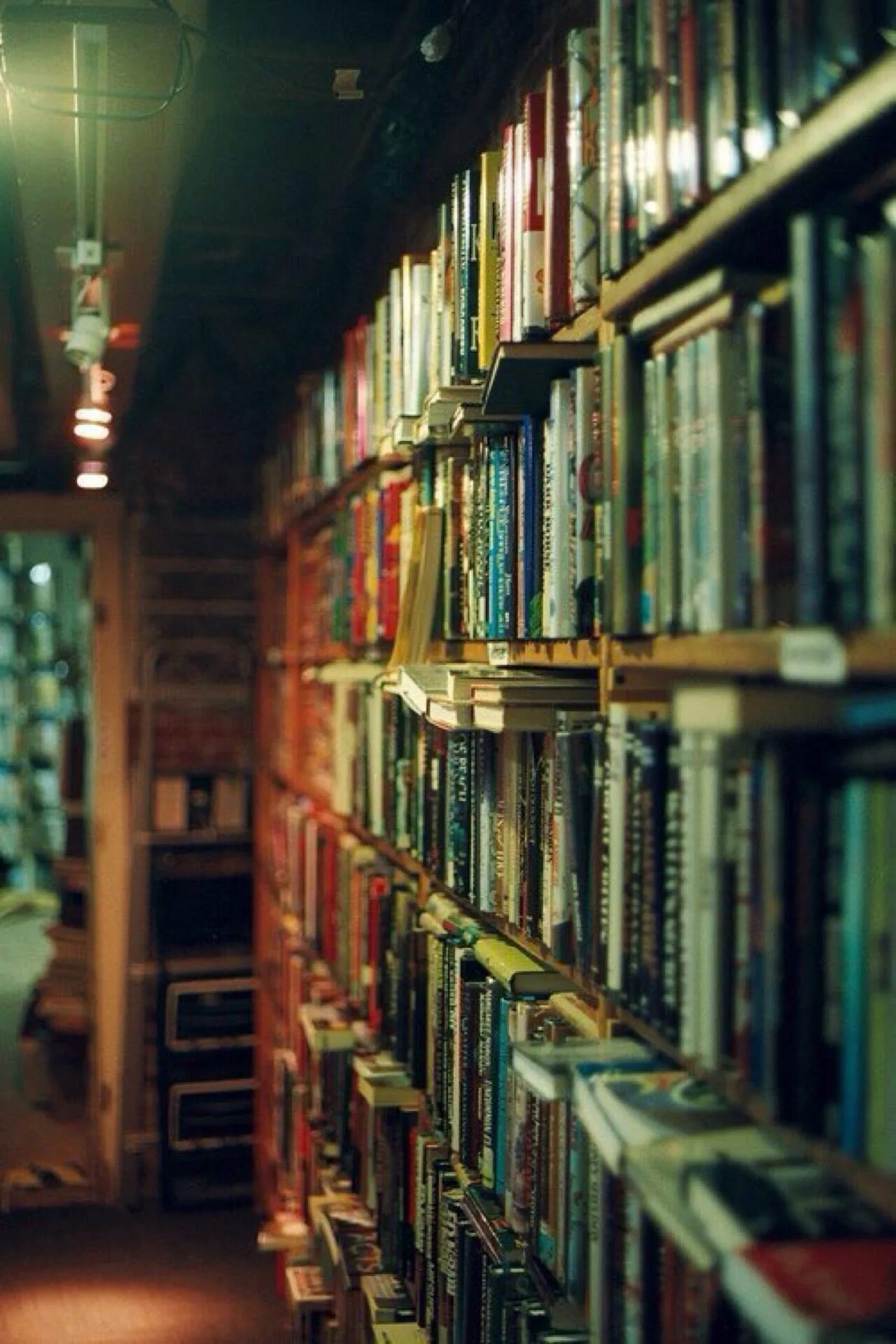 Ночной книжный магазин. Полки для книг. Книга библиотека. Книга вертикально. Фон книги.