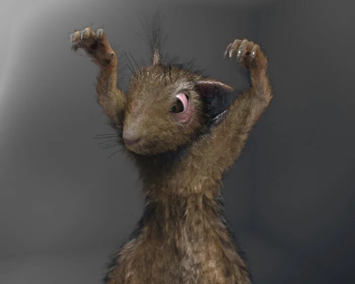зайчик и белочка. худая белка. мокрая белка. бешеная белочка. кудяблики белка.
