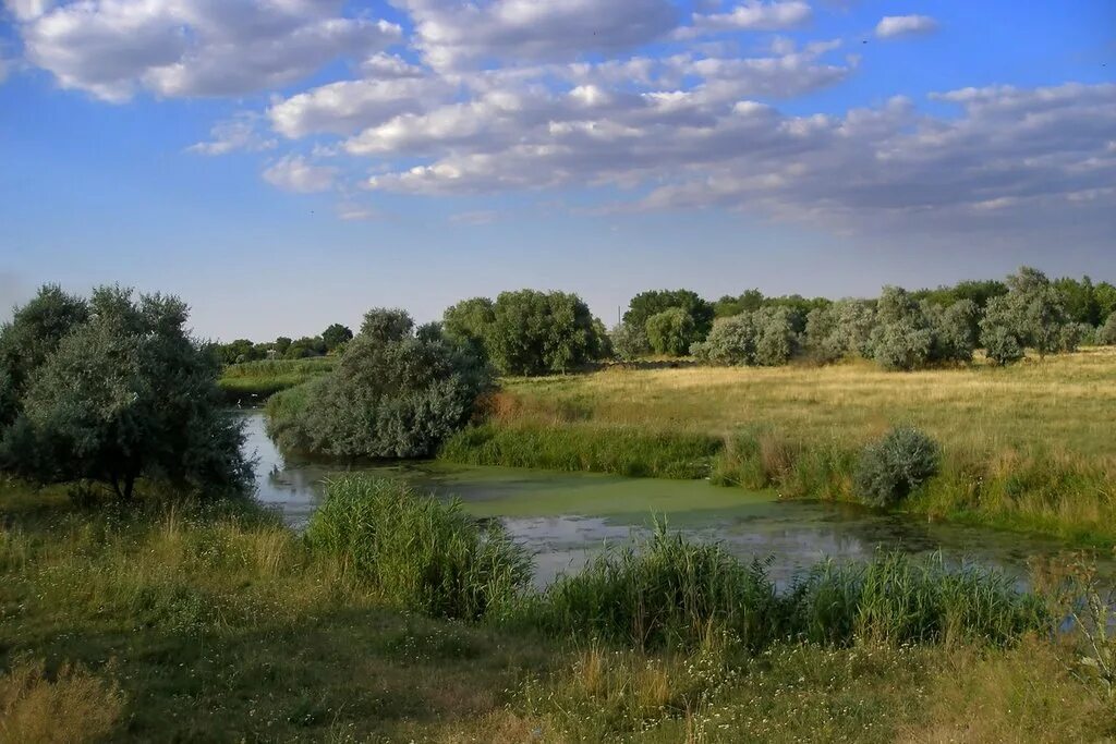 Погода в каланчаке херсонской. Город Каланчак Херсонская область. Пгт Каланчак Херсонская. Река Каланчак. Херсон природа.