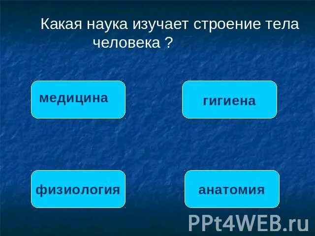 Также изучает структуру в. Наука изучающая строение человека. науки изучающие организм человека. как называется наука изучающая строение тела человека. что изучает наука.