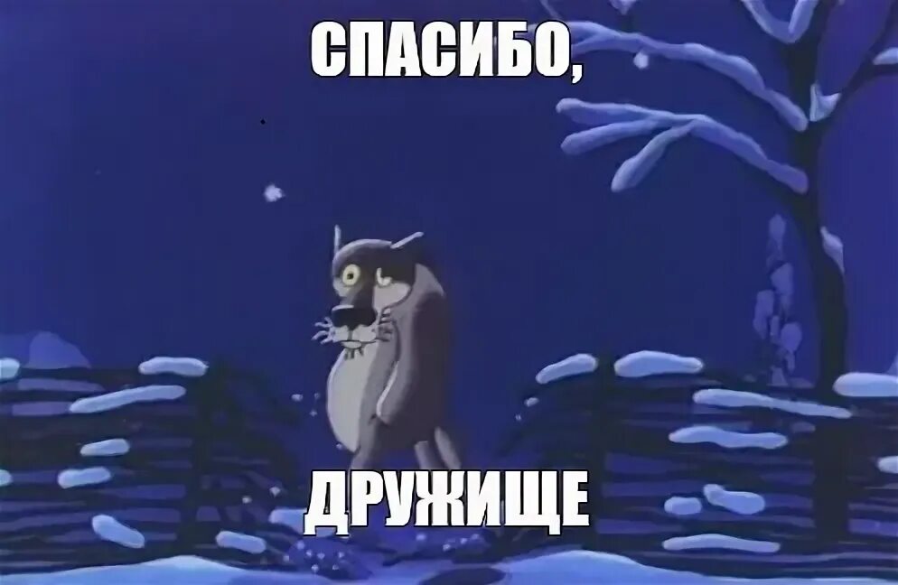 Волк спасибо жил был пес. Спасибо волк из мультика. Шшшпасибо волк из мультика. Спасибо заходи если что.