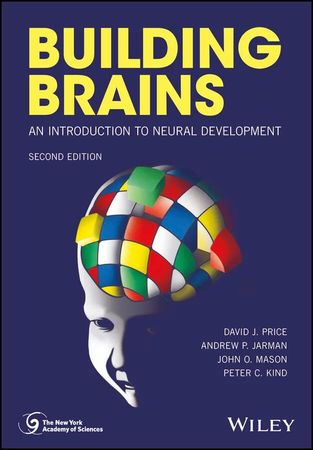 Brain building. Brain Builder Series Shapes.