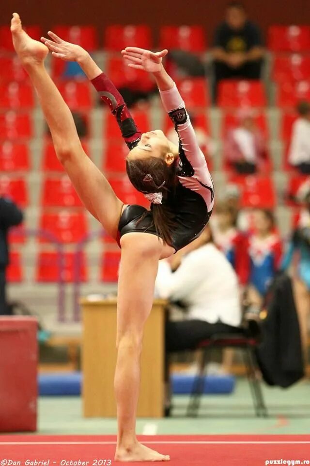 Gymnastics is the queen of all sports