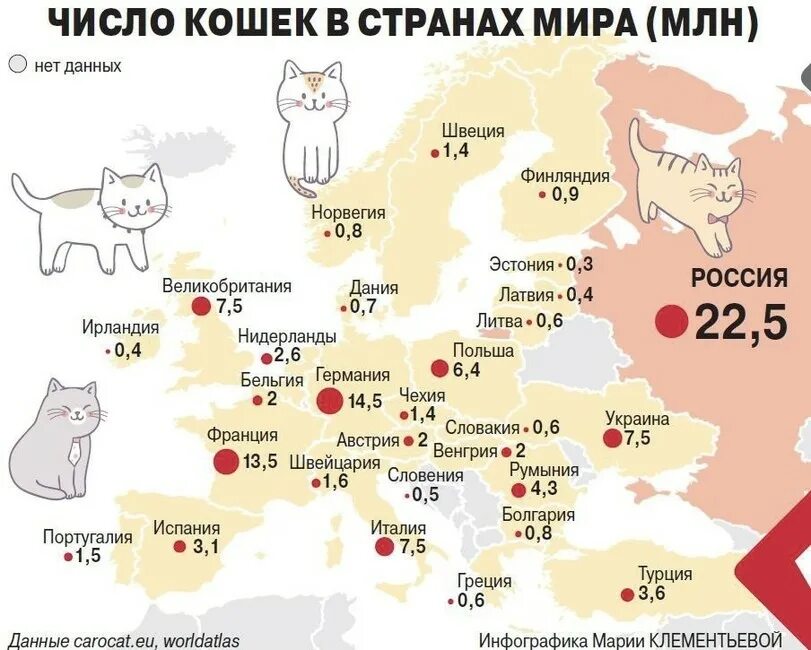 Кол-во кошек по странам. Страны по количеству кошек. Страна с самым большим количеством кошек.