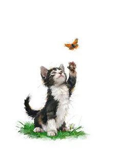 Котенок ловит